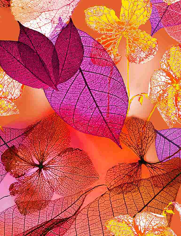 verschiedene Blätter auf pink orange - Neon Nature