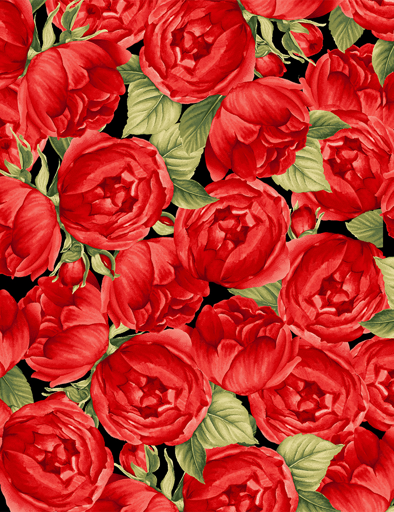Rosen auf schwarzem Grund - Red Roses