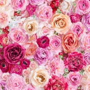 BelleRose - Fat Quarter Bundle