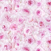 BelleRose - Fat Quarter Bundle