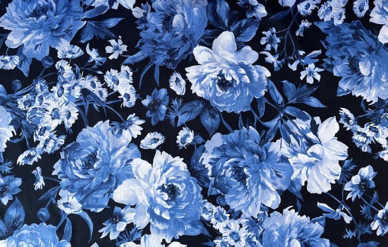 große blaue Blüten auf dunkelblau
