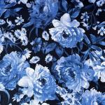 große blaue Blüten auf dunkelblau