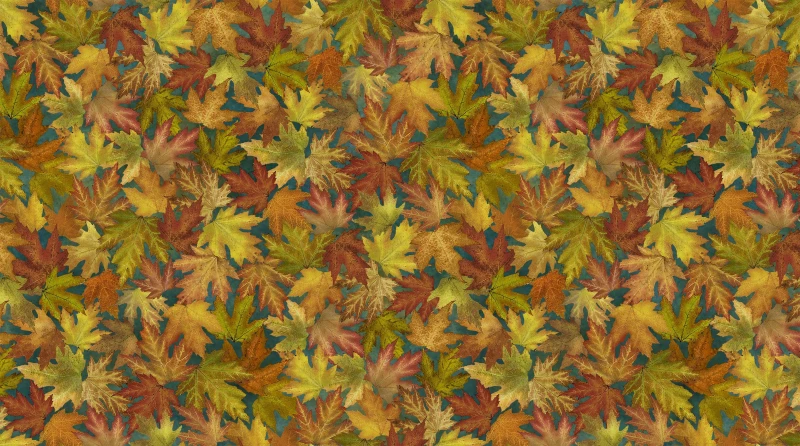 Autumn Splendor - Herbstblätter