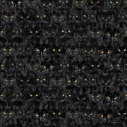 Black Cats