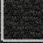 Black Cats