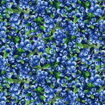 Blaubeeren allover - Blueberry Delight