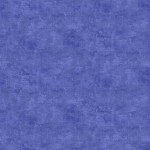 Blueberry - Canvas Texture