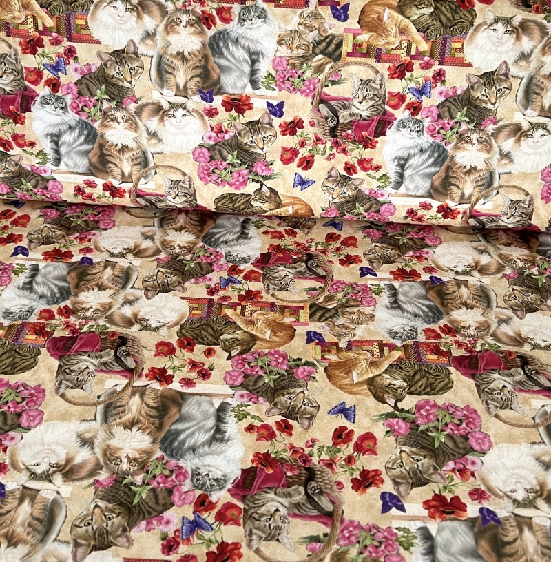 Cats N Quilts allover creme