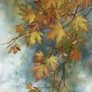 Autumn Splendor - Panel