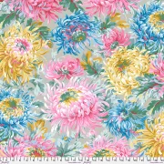 Shaggy Chrysanthemen Blüten grey