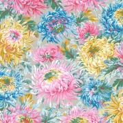 Shaggy Chrysanthemen Blüten grey