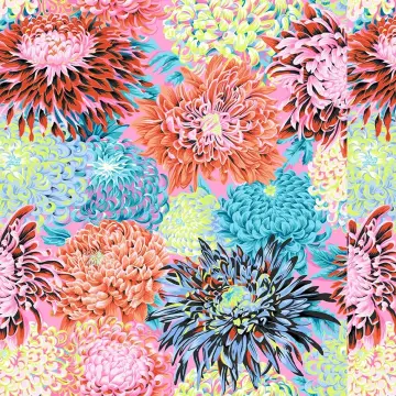 Japanese Chrysanthemen Blüten contrast