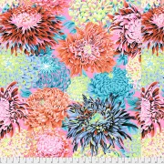 Japanese Chrysanthemen Blüten contrast