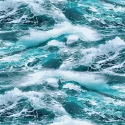 Coastal Guardians - Sturm Meer