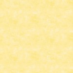 Lemoncello - Canvas Texture