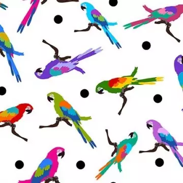Colorful - Parrots
