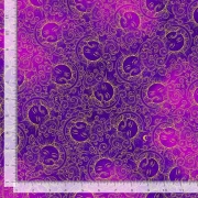 Cosmos - Sonnen purple