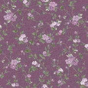Courtland - Delicate Vine Plum