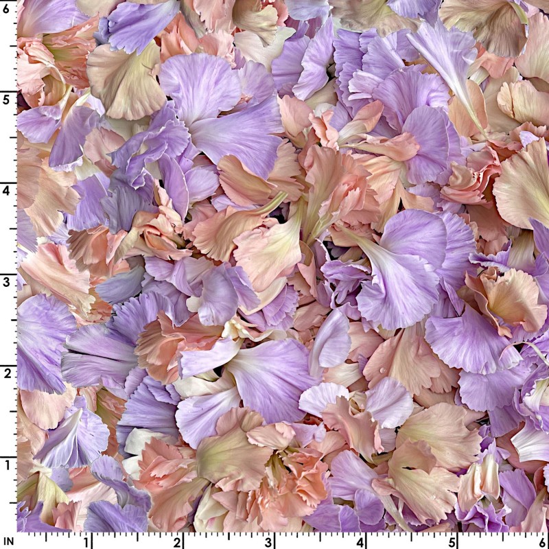 Meer von Blütenblättern in lila apricot