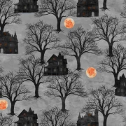 Full Moon - Haunted House - Shadow