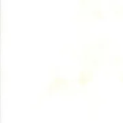 Grunge - Composition White (356)