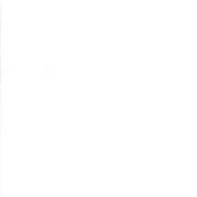 Grunge - White Paper (101)