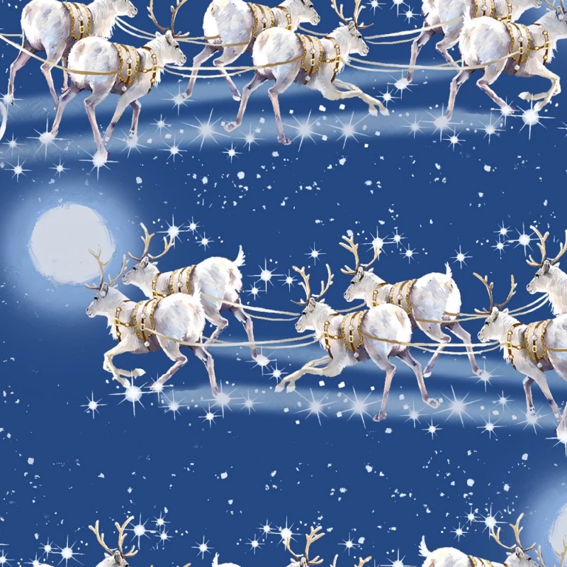 Here Comes Santa - Flying Sleigh