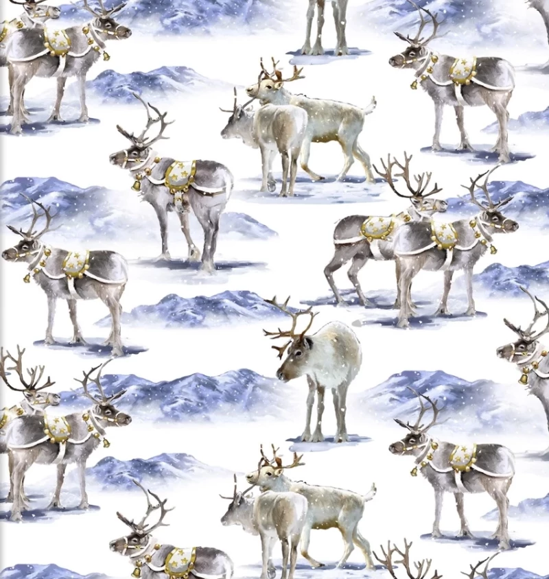 Here Comes Santa - Reindeer Romp