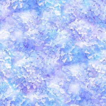 Hortensien Traum himmelblau lila - ein Sommertraum
