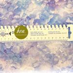 Hortensien Traum himmelblau lila - ein Sommertraum - 1 Stück = 1,80 Meter