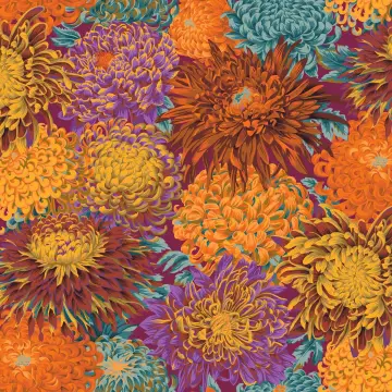Japanese Chrysanthemen Blüten Autumn
