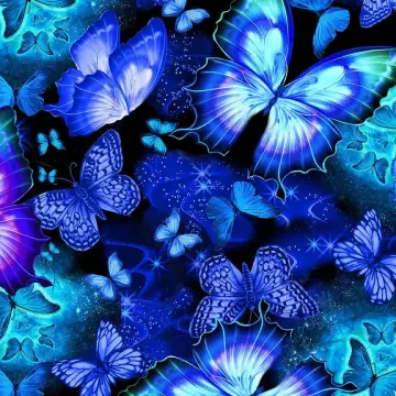 Schmetterlinge auf schwarz - Cosmic Butterfly