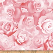 Rose Romance Pink