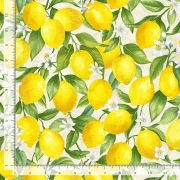 Lemon Bouquet - Zitronenzweig mit Blättern
