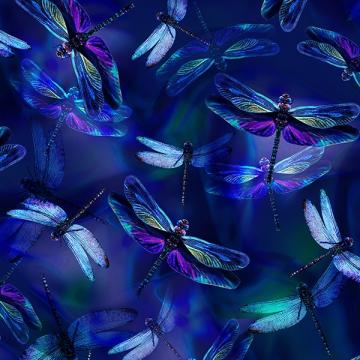 Libellen saphireblau - ein Sommertraum