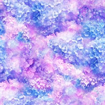 Hortensien Traum Lilac  - ein Sommertraum