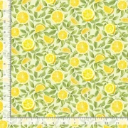 Lemon Bouquet -  Zitronenscheiben
