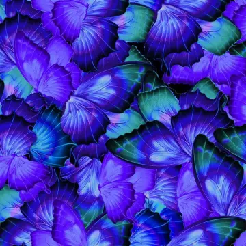 Schmetterling purple - Cosmic Butterfly