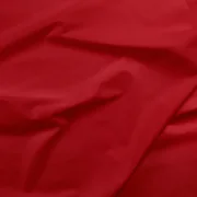 Paintbrush Solids - Crimson