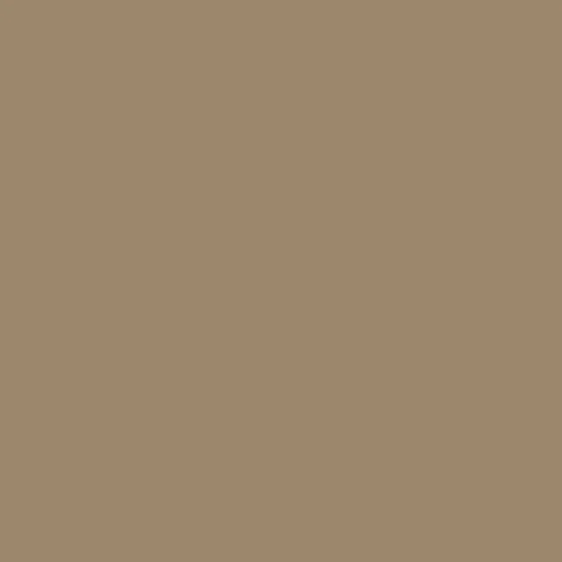 Paintbrush Solids - Taupe