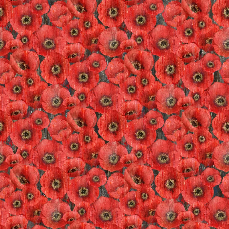 Poppy Meadow - Packed Poppy