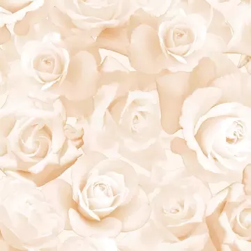Rose Romance White
