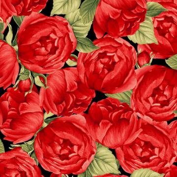 Rosen auf schwarzem Grund - Red Roses