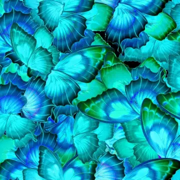 Schmetterling türkis - Cosmic Butterfly