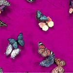 Schmetterlinge magenta