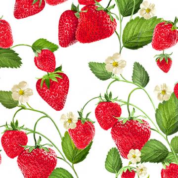 Schöne Erdbeeren - Früchte  und Blüten