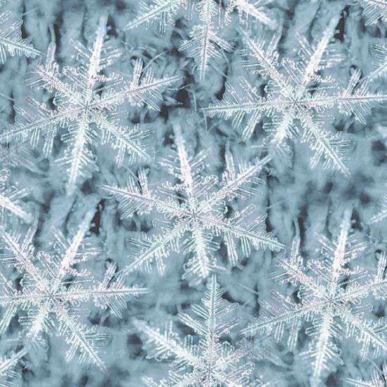 Schneekristalle frost