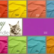 Solids for Graywork - Bundle