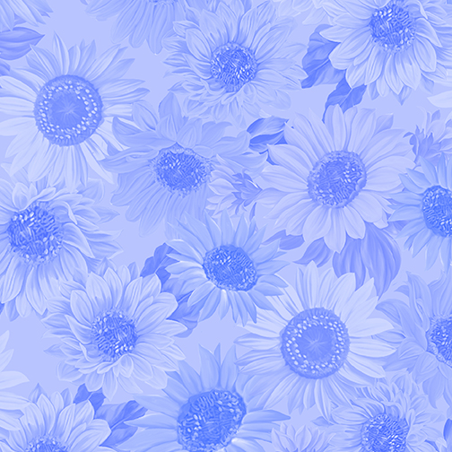 Sonnenblumen ton in ton hellblau