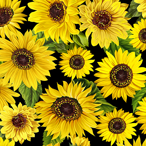 Sonnenblumen auf schwarzem Grund